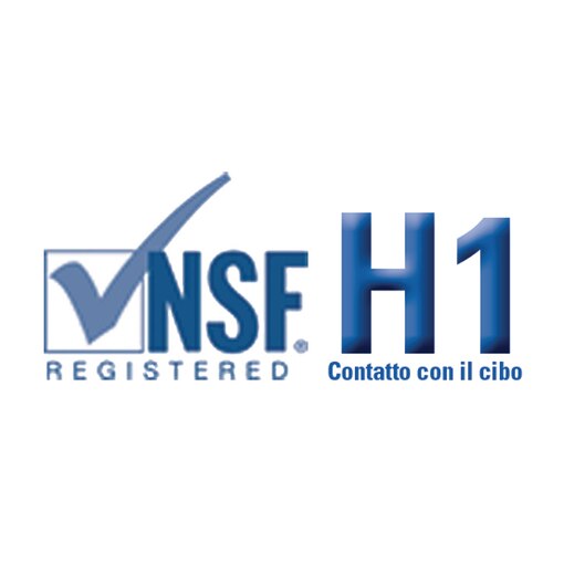 logo NSF